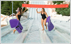 Walt Disney World Blizzard Beach Water Park Attractions